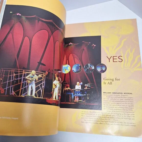 Mountains Come Out of the Sky Illustrated History of Prog Rock Used Library Book - Picture 11 of 16